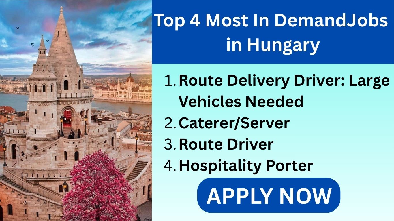 Top 4 Most In Demand Jobs in Hungary